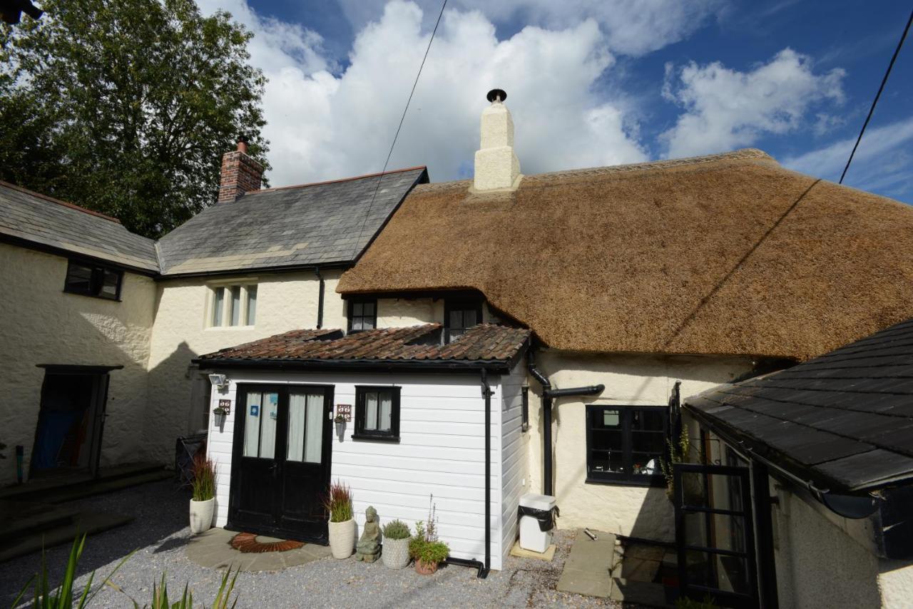 Rose Farm Bed & Breakfast Honiton Bagian luar foto
