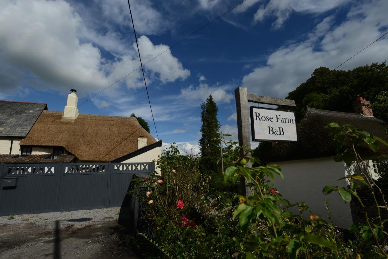 Rose Farm Bed & Breakfast Honiton Bagian luar foto