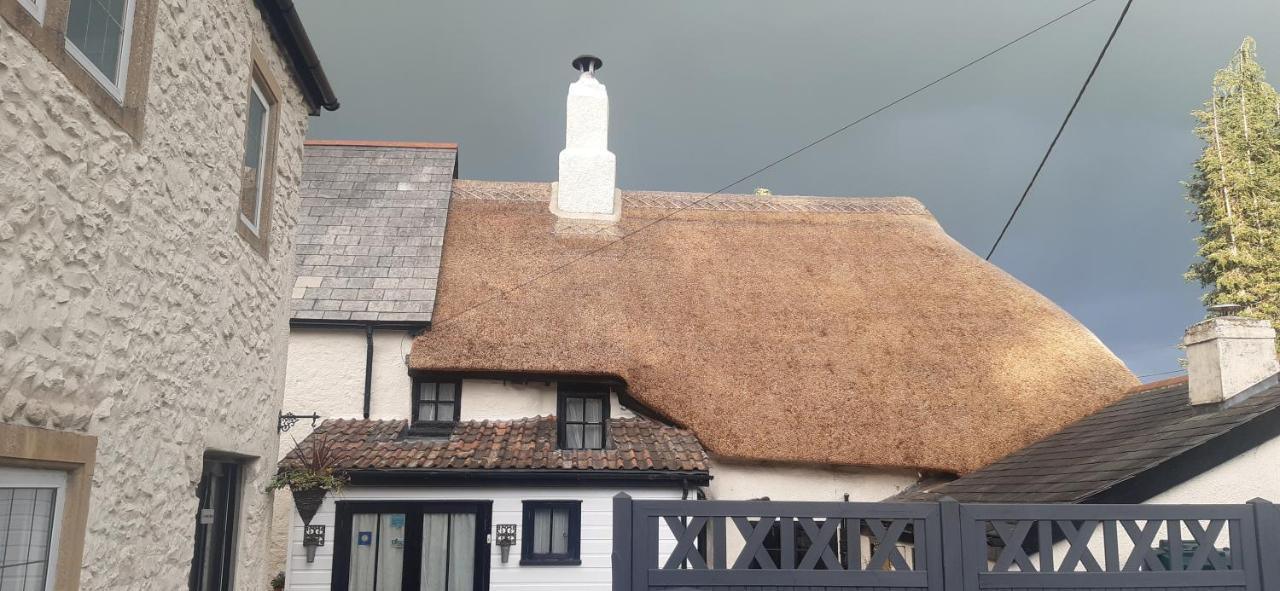 Rose Farm Bed & Breakfast Honiton Bagian luar foto