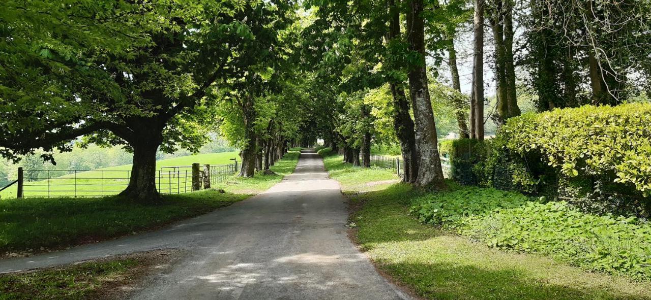 Rose Farm Bed & Breakfast Honiton Bagian luar foto