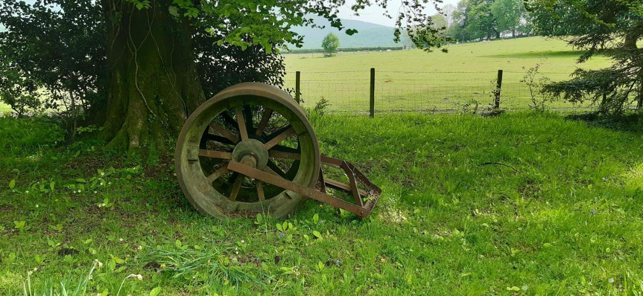 Rose Farm Bed & Breakfast Honiton Bagian luar foto