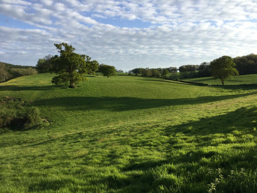 Rose Farm Bed & Breakfast Honiton Bagian luar foto