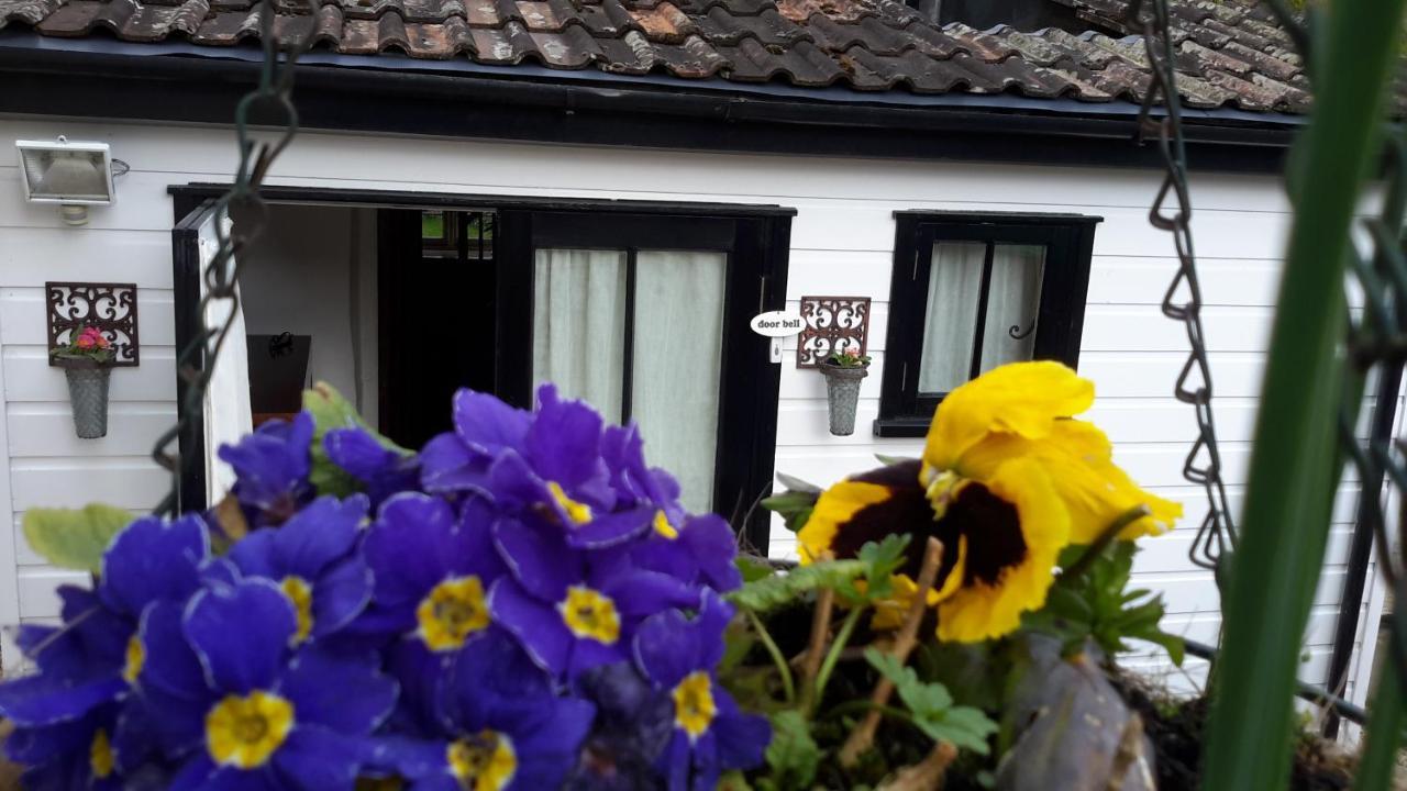 Rose Farm Bed & Breakfast Honiton Bagian luar foto