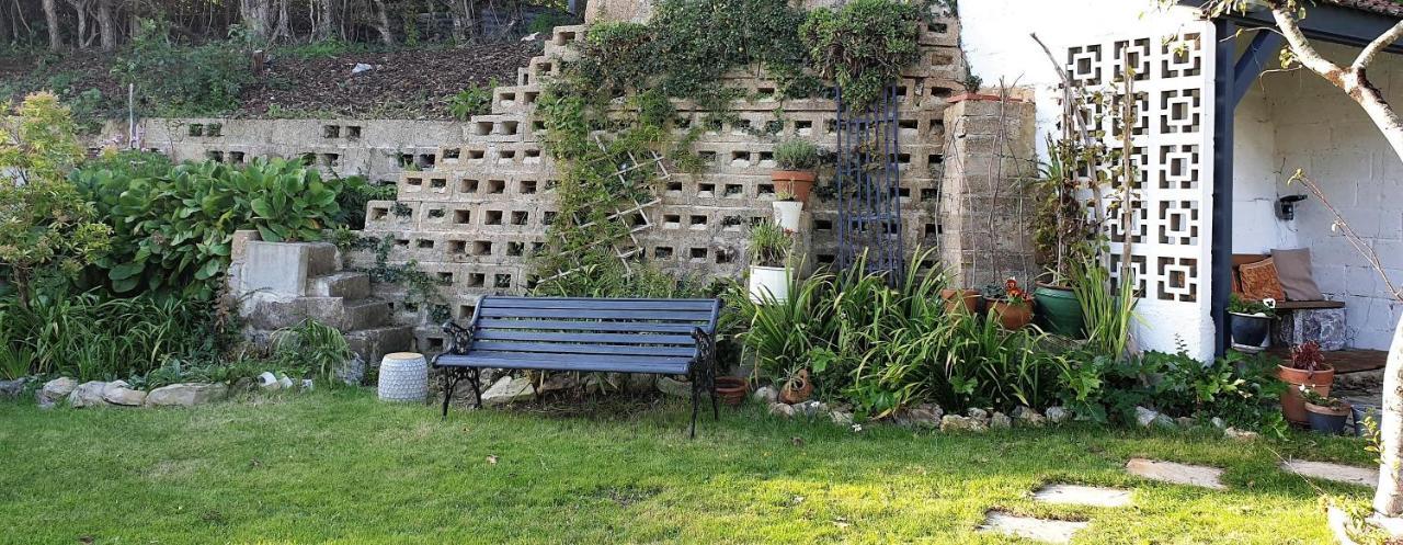Rose Farm Bed & Breakfast Honiton Bagian luar foto