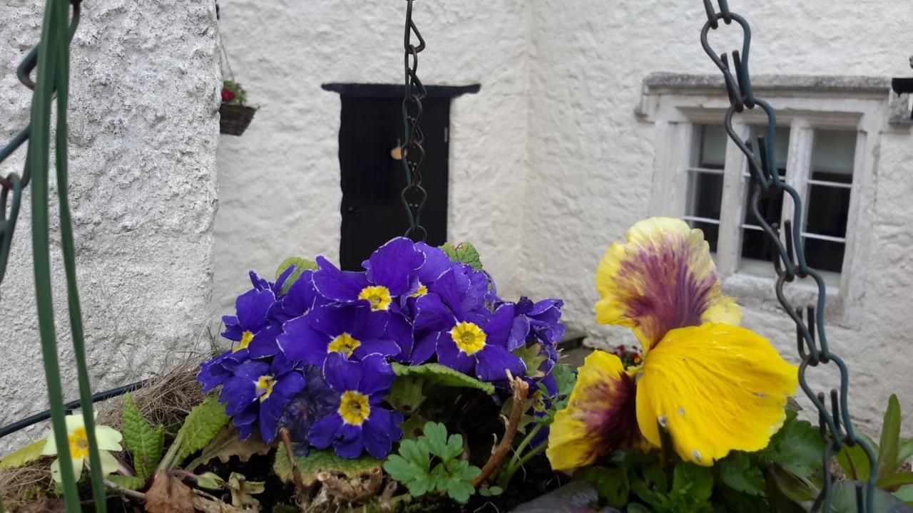 Rose Farm Bed & Breakfast Honiton Bagian luar foto