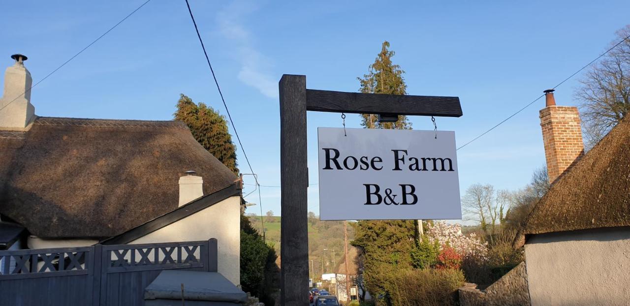 Rose Farm Bed & Breakfast Honiton Bagian luar foto