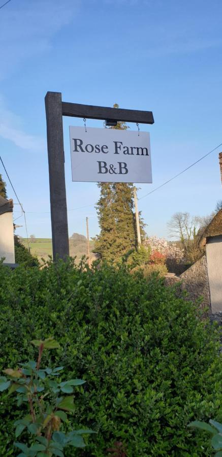 Rose Farm Bed & Breakfast Honiton Bagian luar foto