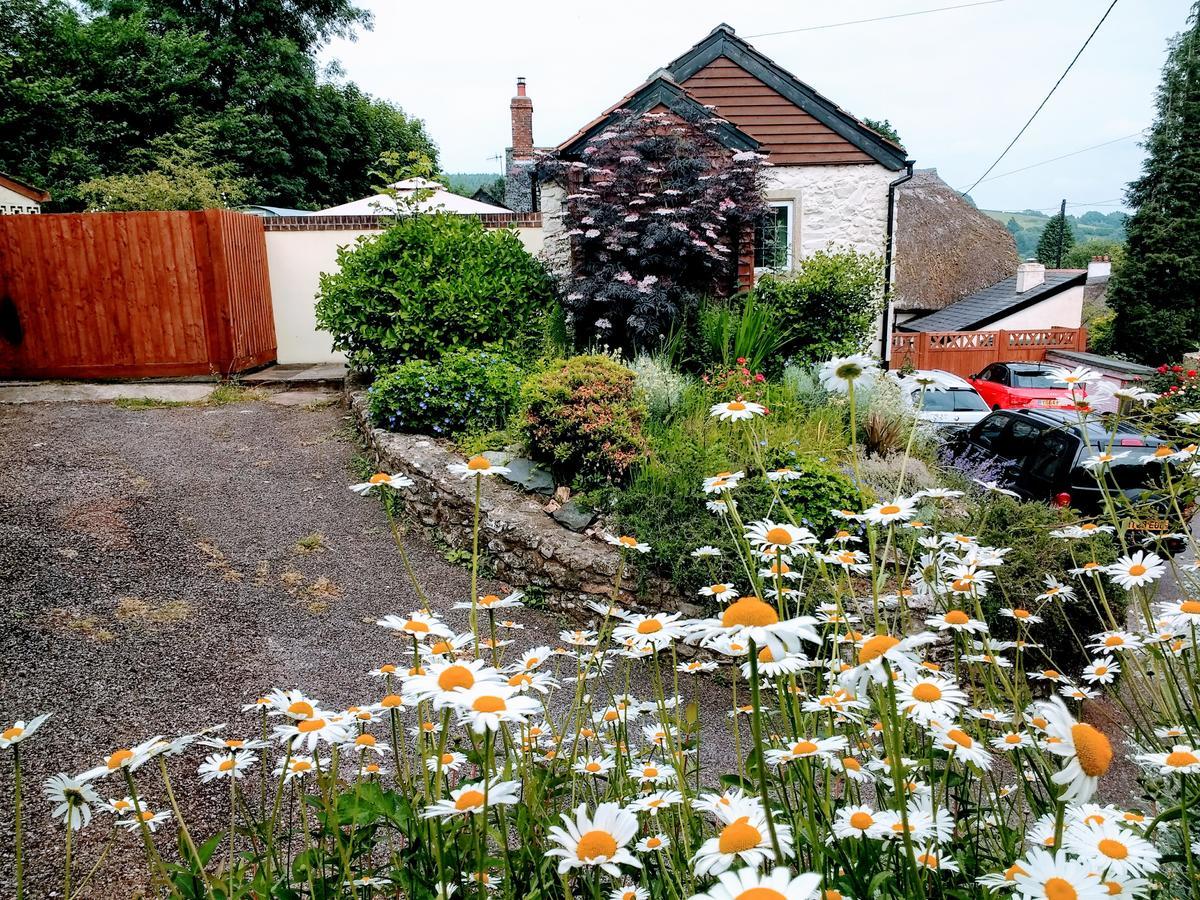 Rose Farm Bed & Breakfast Honiton Bagian luar foto