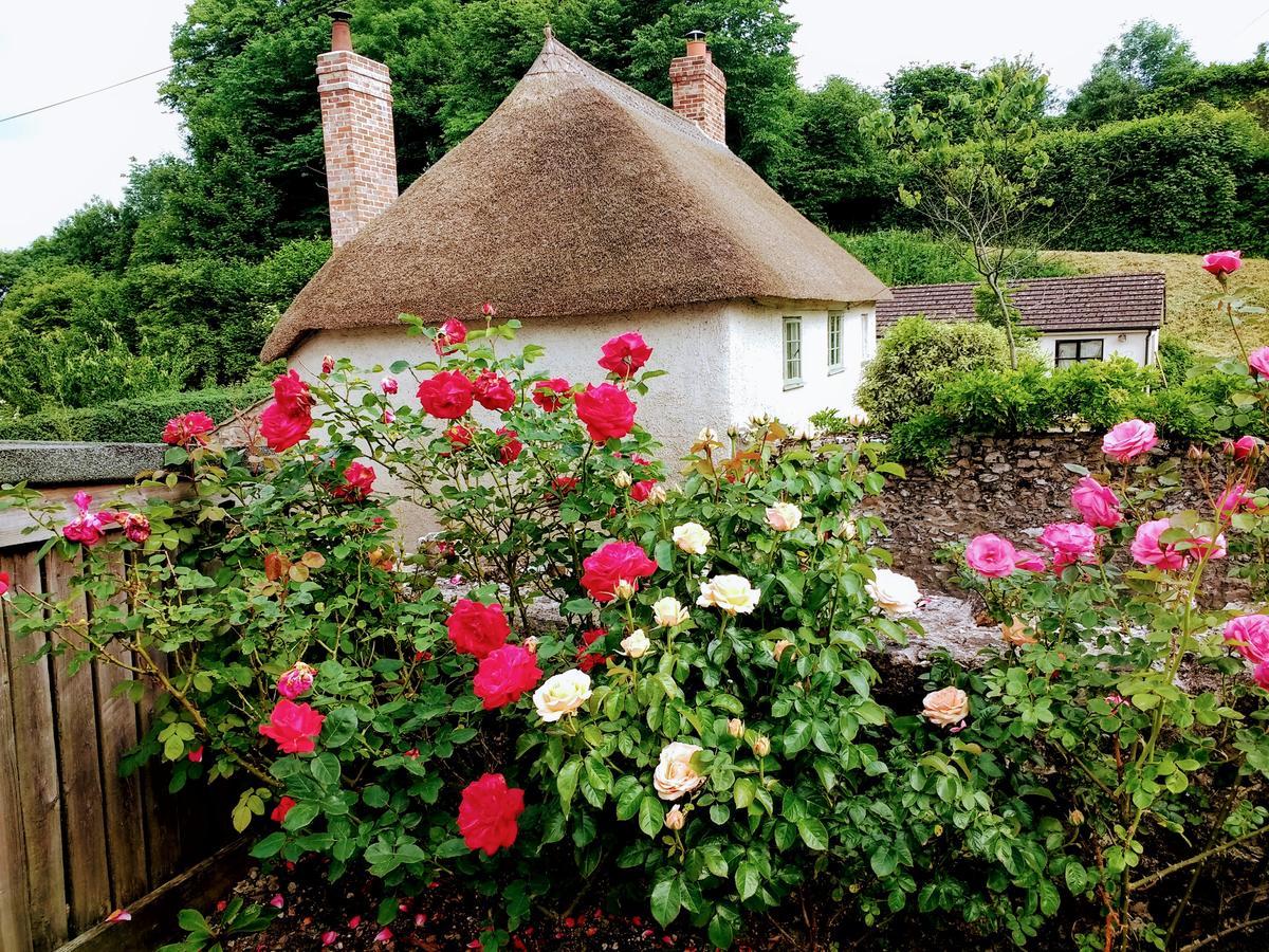 Rose Farm Bed & Breakfast Honiton Bagian luar foto