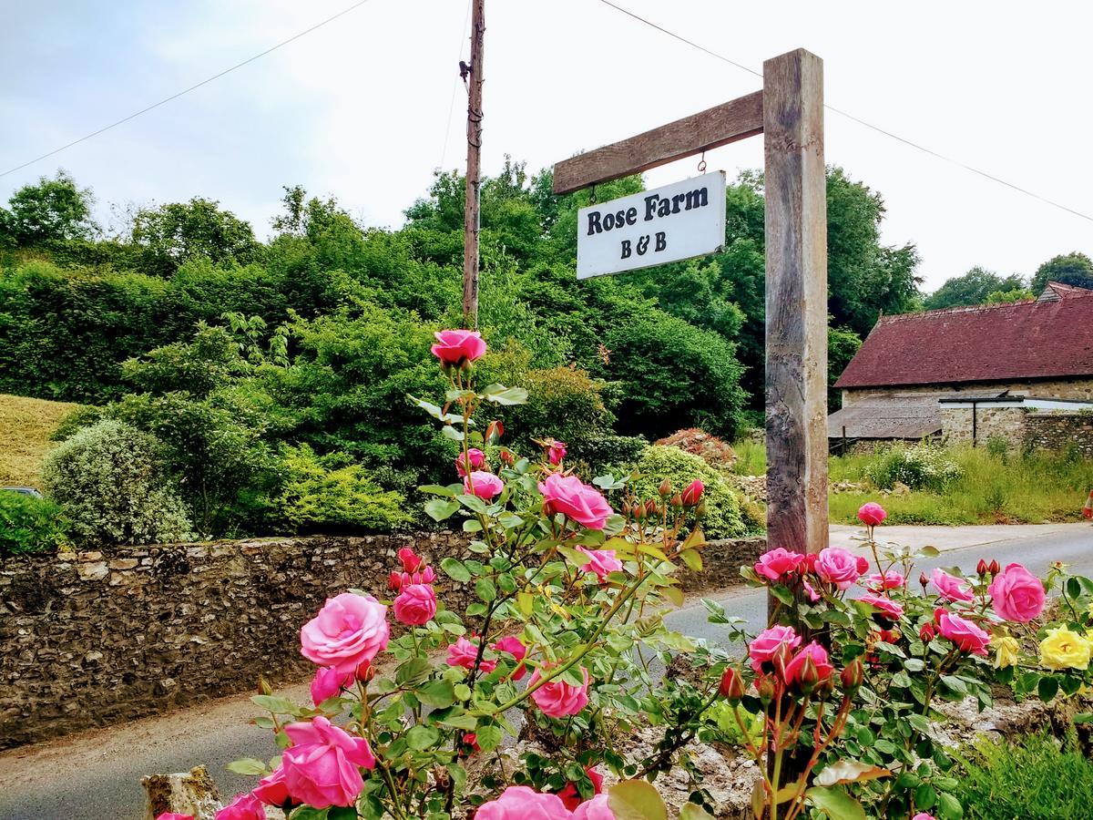 Rose Farm Bed & Breakfast Honiton Bagian luar foto